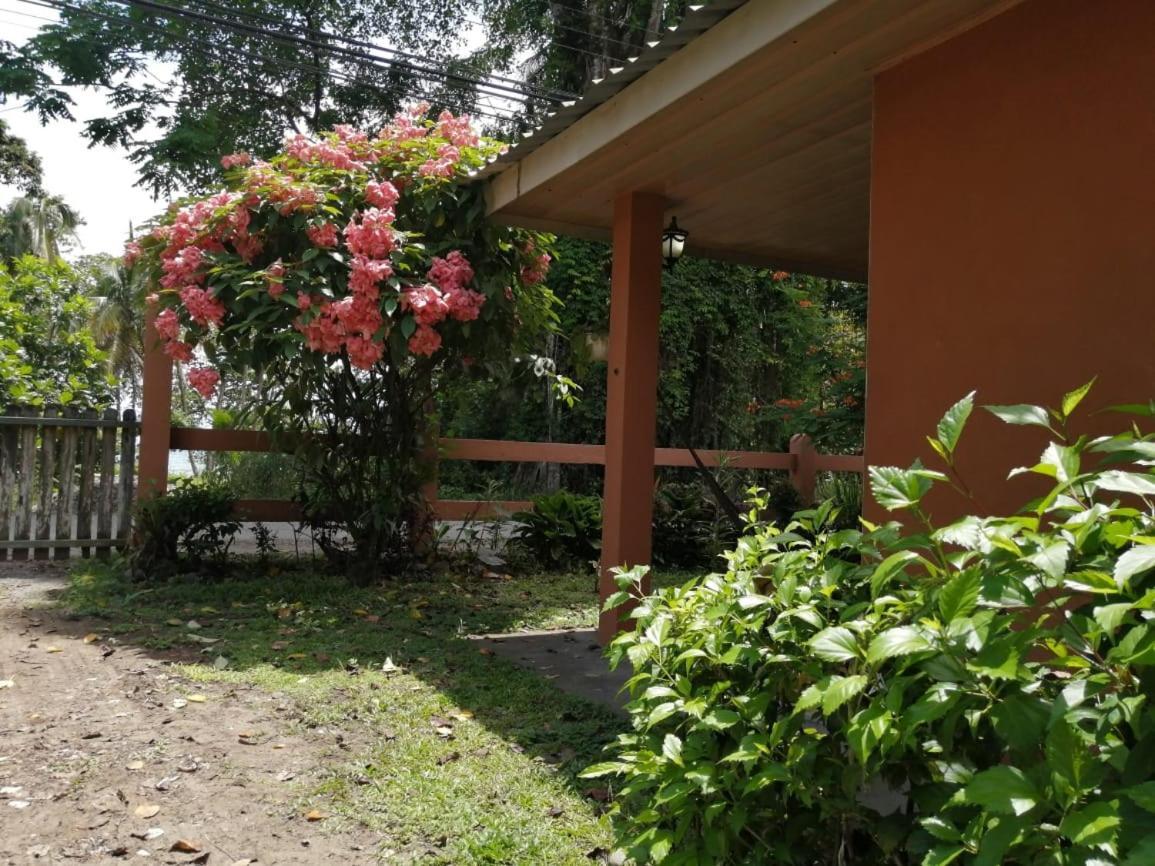 Cahuita Lodge Esterno foto